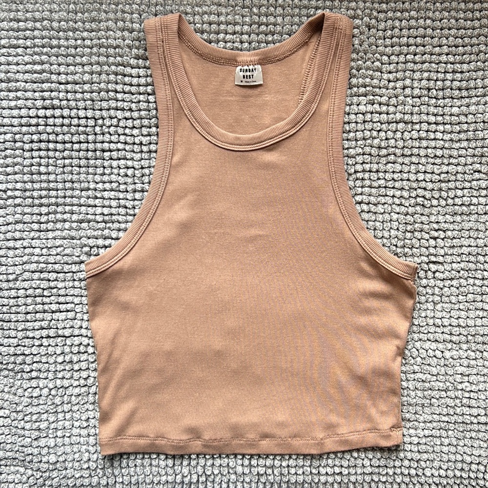 Aritzia Sunday Best Honor tank